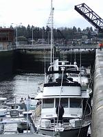 3-15-08 137 Boats going through the Ballard Locks.  It takes about 30 minutes for the boats to pass through.